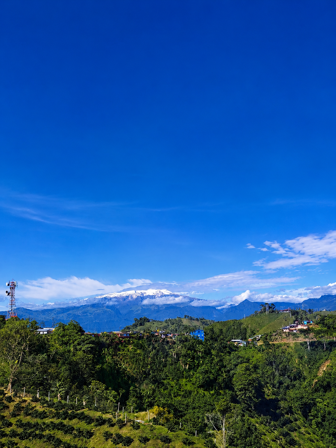 Finca cafetera al pie del Nevado del Tolima